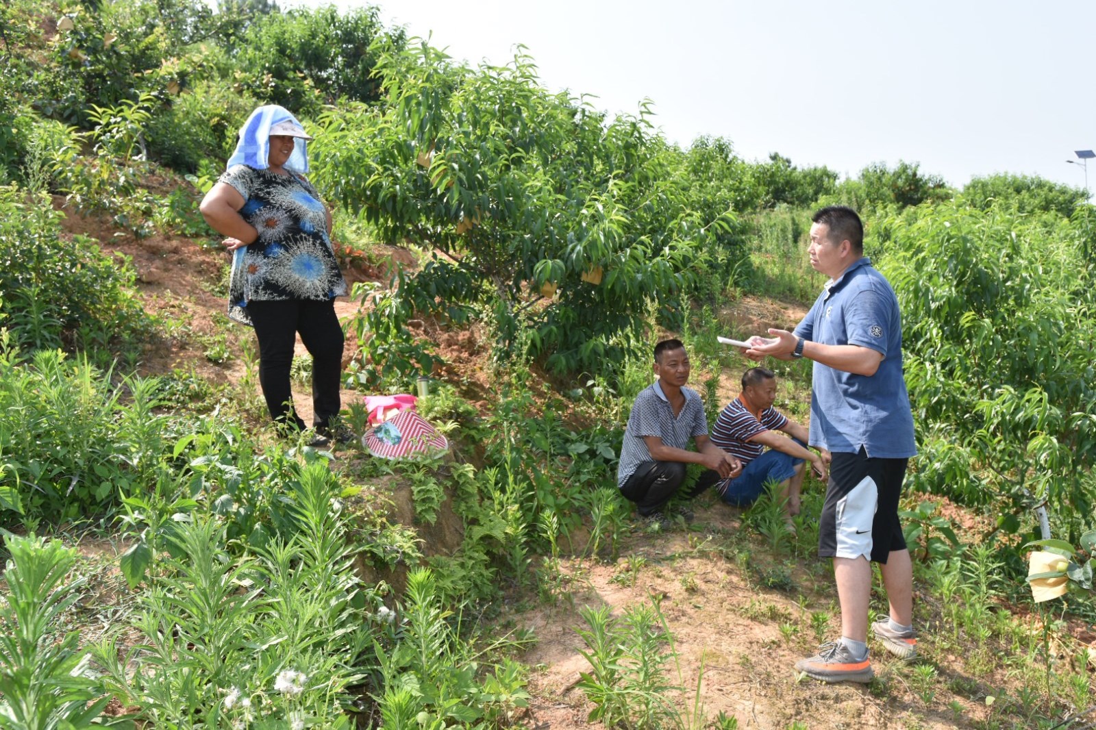 14-图为东江水务公司石溪村驻村第一书记陈燊成(右一)了解贫困户水果种养情况.jpg 14-图为东江水务公司石溪村驻村第一书记陈燊成(右一)了解贫困户水果种养情况.jpg