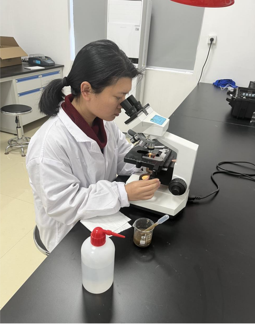 图片5.png 图片5.png