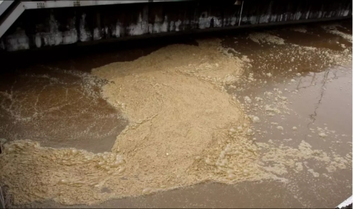 wps2356.tmp.jpg wps2356.tmp.jpg