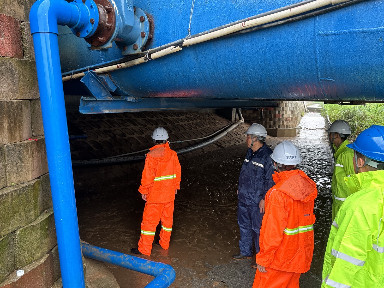 各级单位开展防汛及安全生产风险隐患排查隐患排查 (1).JPG