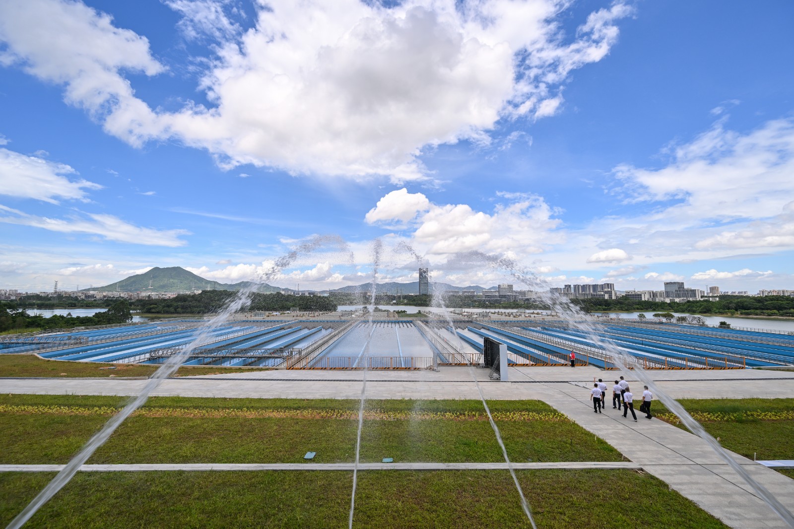 DSC_4194.jpg DSC_4194.jpg