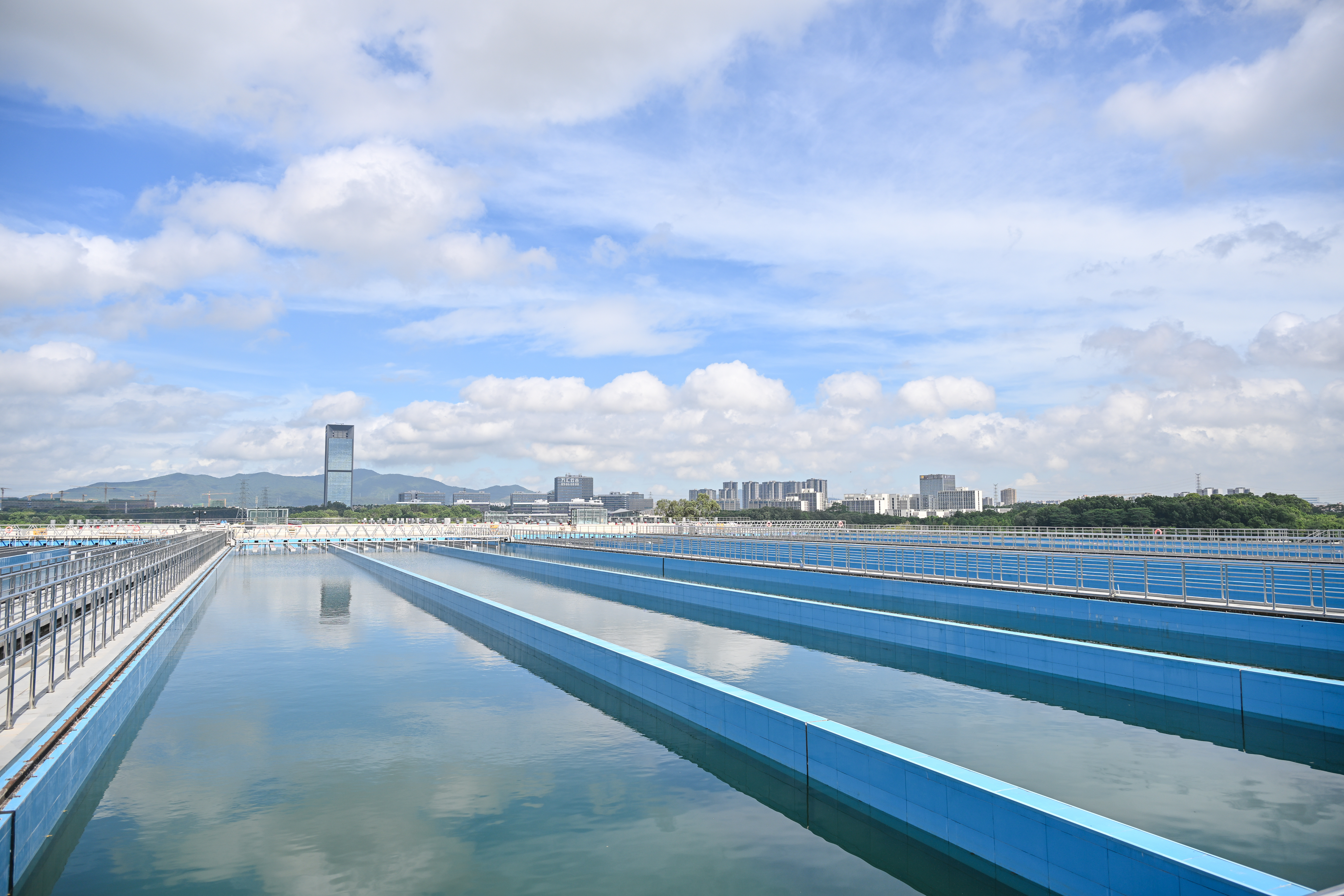 DSC_3654.jpg DSC_3654.jpg