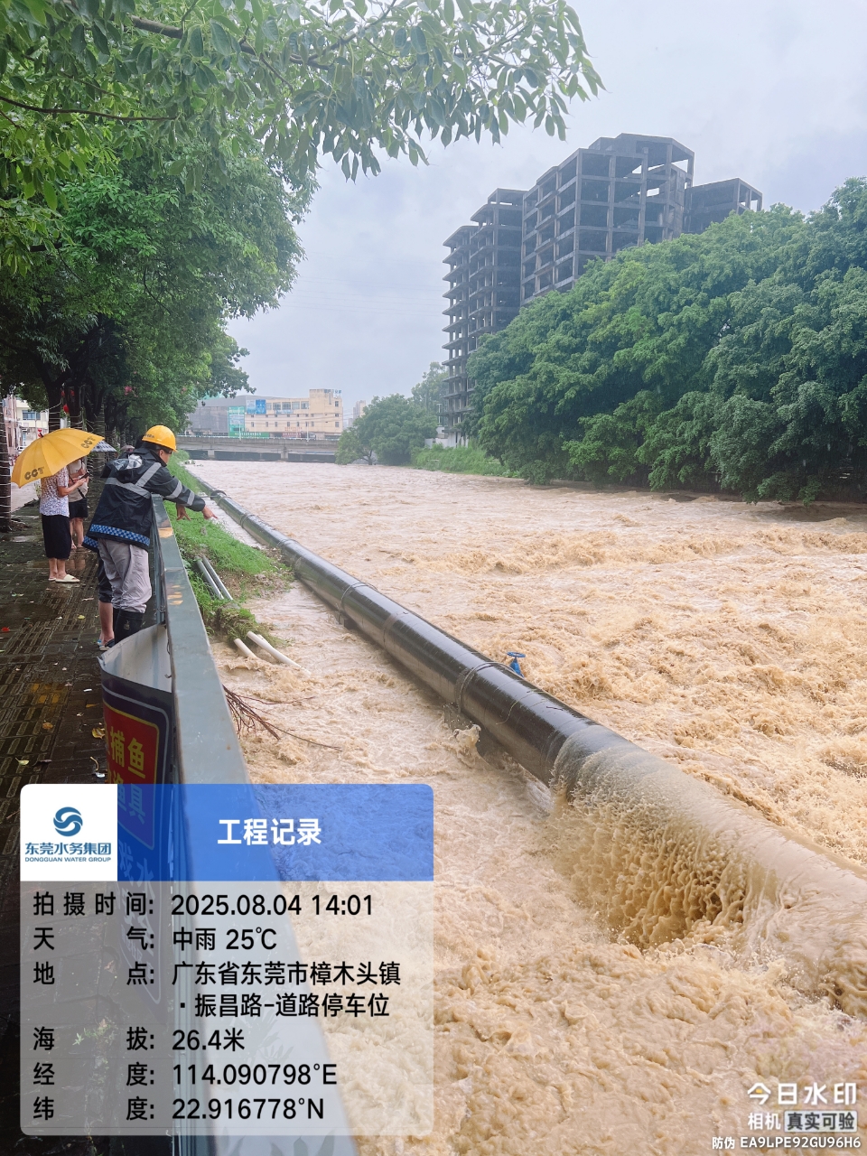 微信图片_20250806163325_6.jpg 微信图片_20250806163325_6.jpg